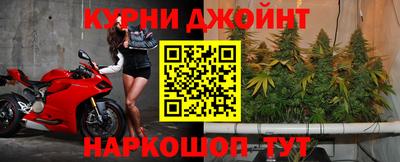 прущие грибы Малгобек