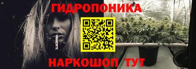 прущие грибы Малгобек