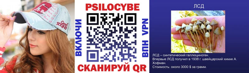 Галлюциногенные грибы Psilocybine cubensis Партизанск