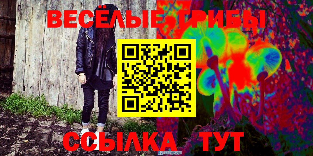 наркотики  Галлюциногенные грибы Cubensis  Вход с VPN  Партизанск 